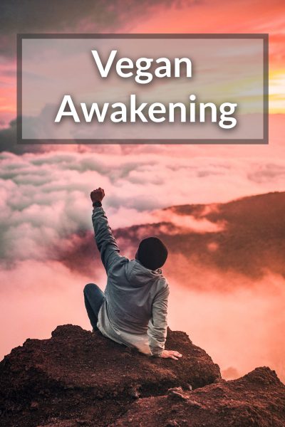 Vegan Awakining Programmbild-2