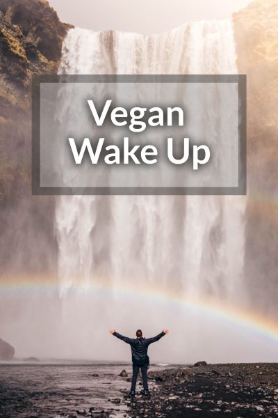 Vegan wake up
